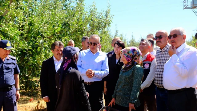 Karaman İl Tarım, elma bahçelerinde erken uyarı başlattı — Fotoğraf 6