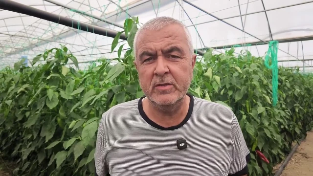 Kaş'ta üretici %50 hibeyle 26 dekar modern sera kurdu