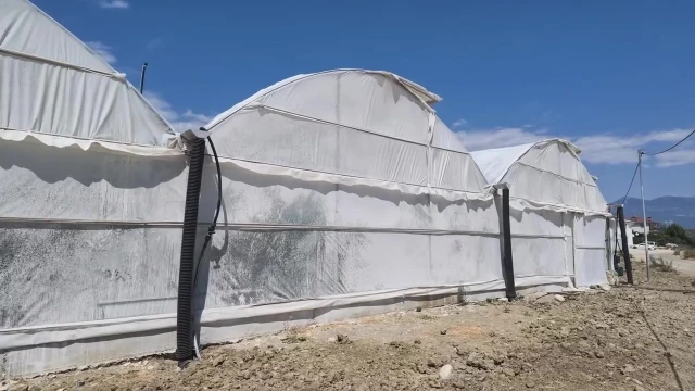 Kaş'ta üretici %50 hibeyle 26 dekar modern sera kurdu — Fotoğraf 5