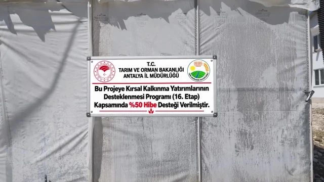 Kaş'ta üretici %50 hibeyle 26 dekar modern sera kurdu — Fotoğraf 8