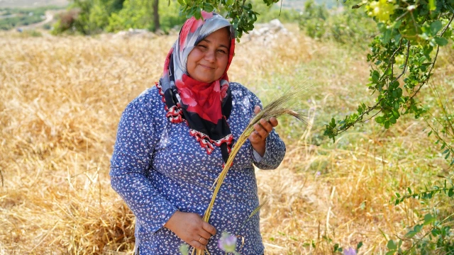 KEDV, deprem bölgesinde Temiz Ekmek Projesi'ni başlattı