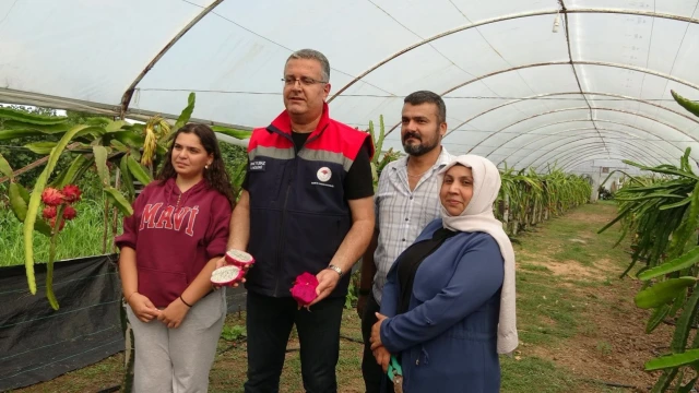 Kemal Yılmaz: Ejder meyvesinde gelir avantajı dikkat çekiyor