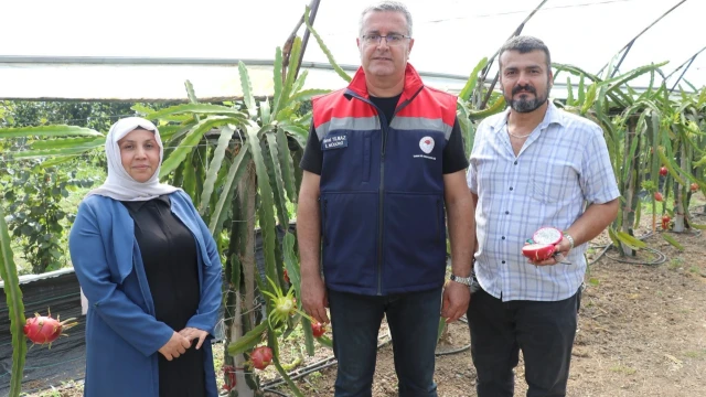 Kemal Yılmaz: Ejder meyvesinde gelir avantajı dikkat çekiyor — Fotoğraf 4