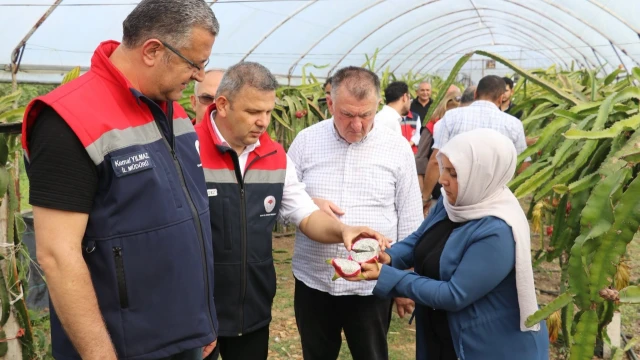 Kemal Yılmaz: Ejder meyvesinde gelir avantajı dikkat çekiyor — Fotoğraf 7