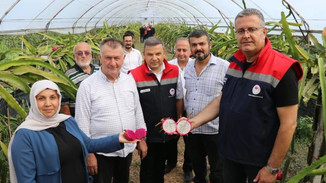 Kemal Yılmaz: Ejder meyvesinde gelir avantajı dikkat çekiyor — Fotoğraf 8