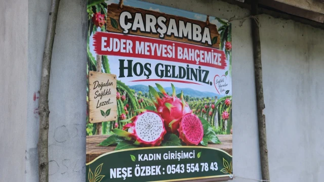 Kemal Yılmaz: Ejder meyvesinde gelir avantajı dikkat çekiyor — Fotoğraf 14