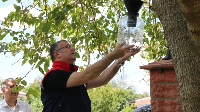 Kemal Yılmaz: Kahverengi kokarcaya karşı mücadele sürüyor — Fotoğraf 1