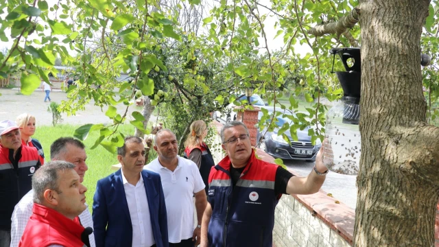 Kemal Yılmaz: Kahverengi kokarcaya karşı mücadele sürüyor — Fotoğraf 5