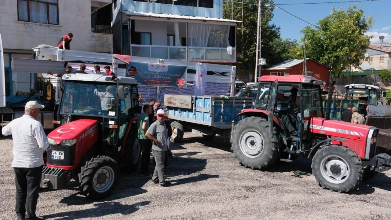 Kemaliye’de %75 hibeli kırmızı mercimek tohumu dağıtıldı