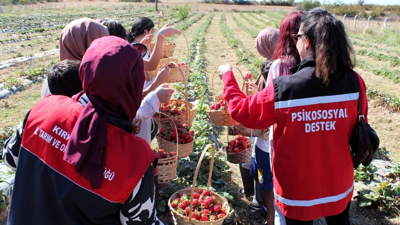Kırklareli'nde ODES öğrencileri üretimi yerinde gözlemledi