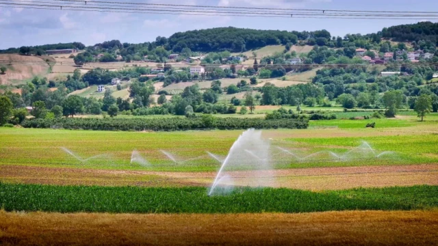Kocaeli’de Sulamayla Aynı Tarladan İki Ürün Alındı — Fotoğraf 3