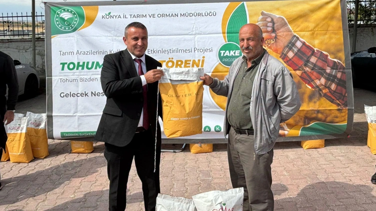 Konya’da 5 bin 500 Dekarda Kolza Üretimi Hedefleniyor
