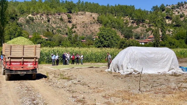 Menteşe’de 20 Üreticiye Kaliteli Silaj Eğitimi Verildi — Fotoğraf 2