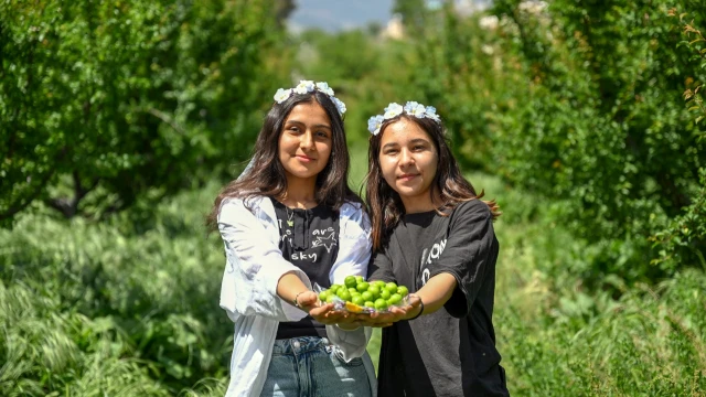Mersin Büyükşehir, 2 ürün için coğrafi işaret başvurdu — Fotoğraf 3