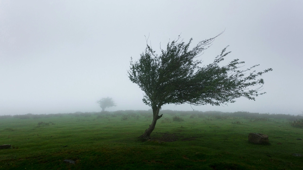 Meteoroloji: 4 bölgede rüzgar 60 kilometreyi bulacak