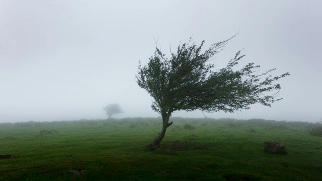 Meteoroloji: 4 bölgede rüzgar 60 kilometreyi bulacak