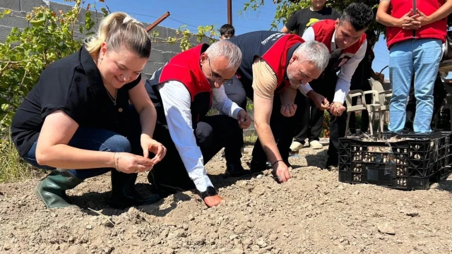 Mucur’da kadın üreticiler için safran demonstrasyonu başladı