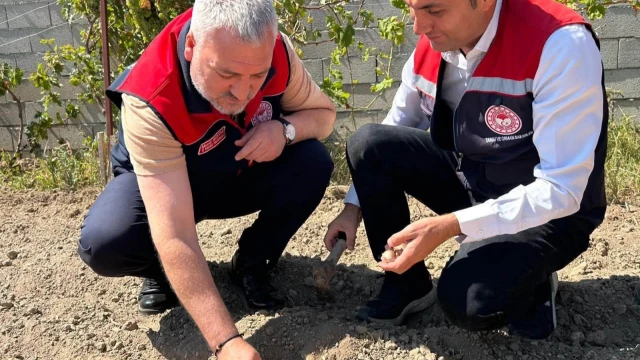 Mucur’da kadın üreticiler için safran demonstrasyonu başladı — Fotoğraf 2