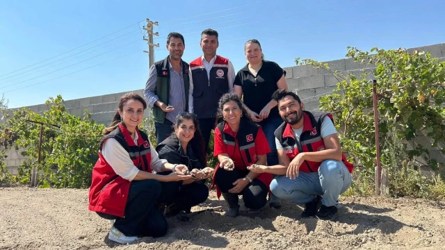 Mucur’da kadın üreticiler için safran demonstrasyonu başladı — Fotoğraf 5