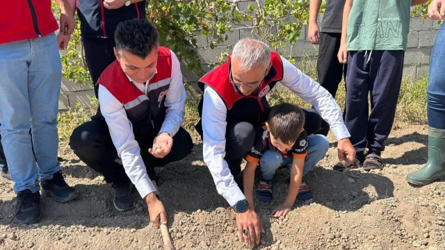 Mucur’da kadın üreticiler için safran demonstrasyonu başladı — Fotoğraf 7