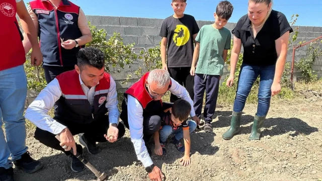 Mucur’da kadın üreticiler için safran demonstrasyonu başladı — Fotoğraf 8
