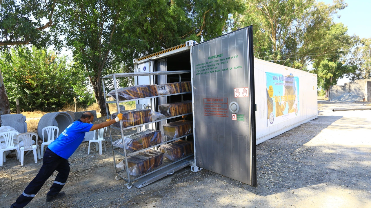 Muğla’da 236 Bin 710 Petek  Eksi 30 Derecede Şoklandı