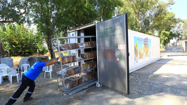 Muğla’da 236 Bin 710 Petek  Eksi 30 Derecede Şoklandı