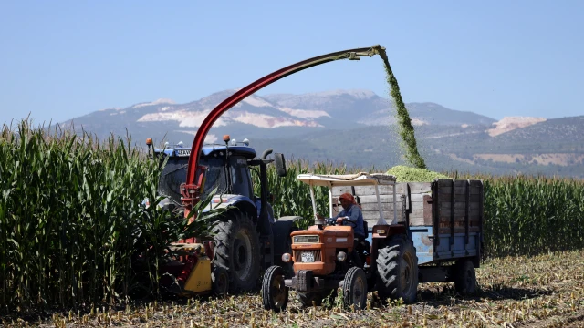Muğla’da 55 Bin Metrekare Arazi Üretime Kazandırıldı
