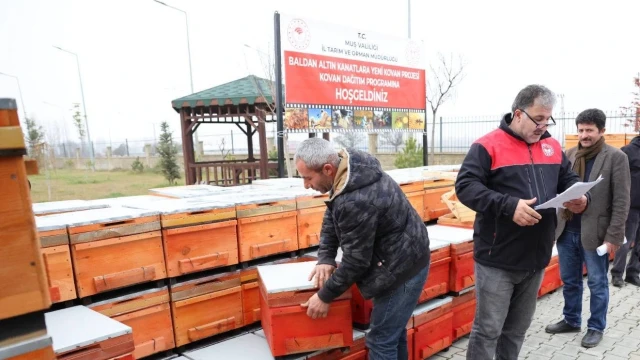Muş'ta Arıcılara Yüzde 75 Hibeli Kovan Desteği