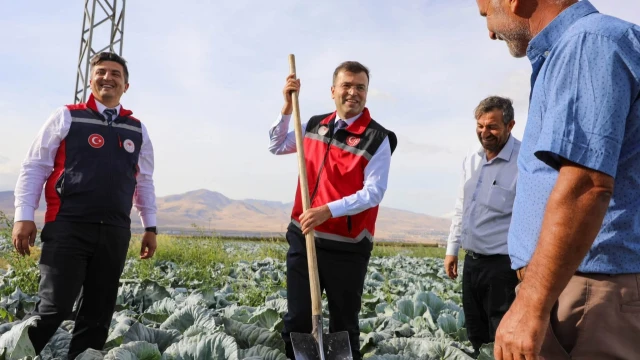 Niğde’nin Lahana Üretimi 148 Bin Tonu Aşacak — Fotoğraf 1