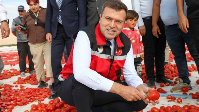 Niğde’nin Lahana Üretimi 148 Bin Tonu Aşacak — Fotoğraf 6