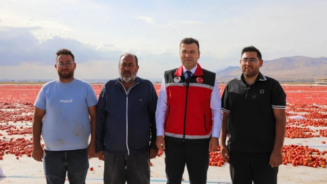 Niğde’nin Lahana Üretimi 148 Bin Tonu Aşacak — Fotoğraf 7