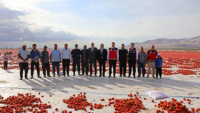 Niğde’nin Lahana Üretimi 148 Bin Tonu Aşacak — Fotoğraf 8