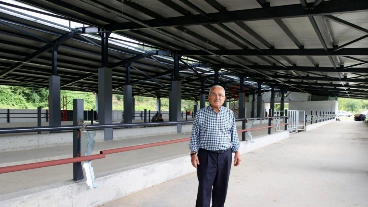 Ordu Büyükşehir, Fatsa’da damızlık düve merkezi açıyor