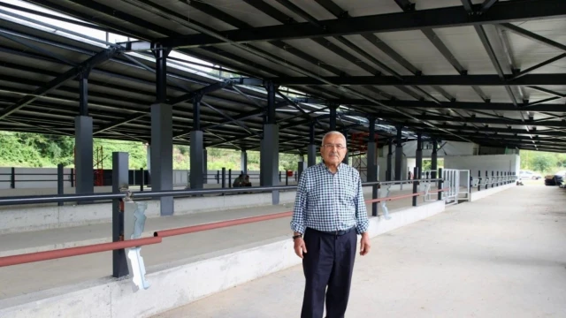 Ordu Büyükşehir, Fatsa’da damızlık düve merkezi açıyor