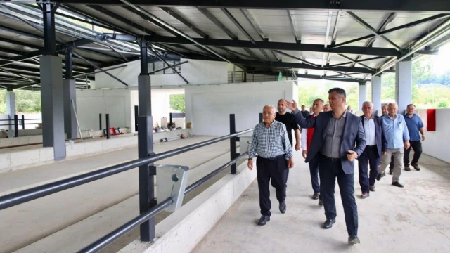 Ordu Büyükşehir, Fatsa’da damızlık düve merkezi açıyor — Fotoğraf 3