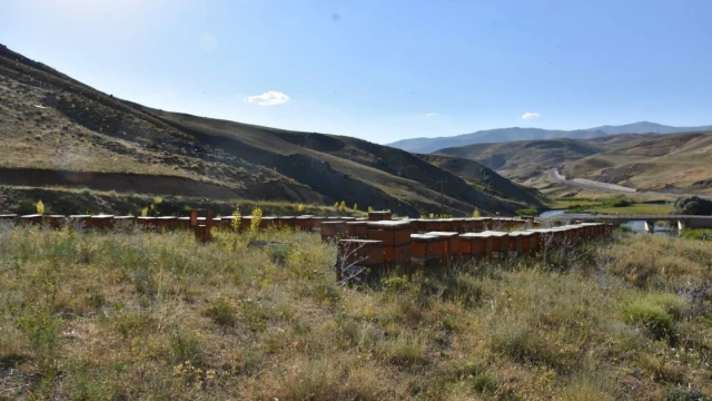 Ordu’da 223 Projeye 176,7 Milyon Liralık Hibe — Fotoğraf 6