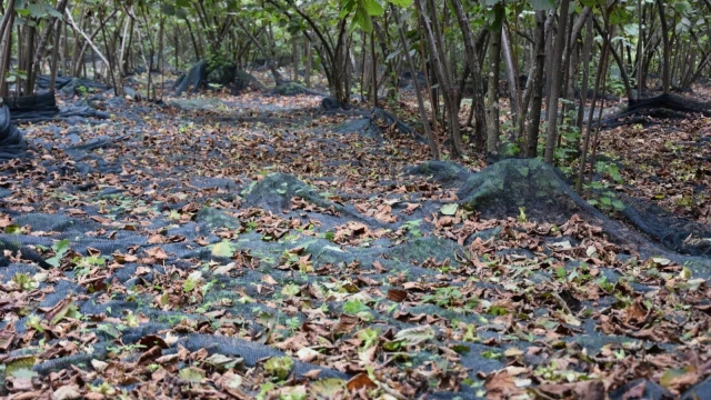 Ordu’da 223 Projeye 176,7 Milyon Liralık Hibe — Fotoğraf 7