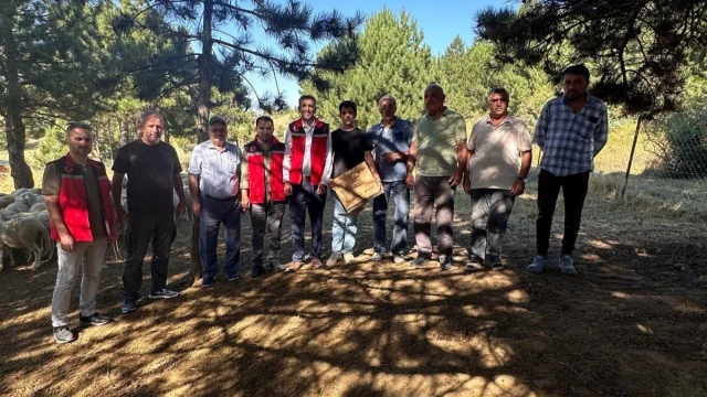 Oyun Hayali Gerçek Oldu! Zootekni Öğrencisi Yaylada — Fotoğraf 1