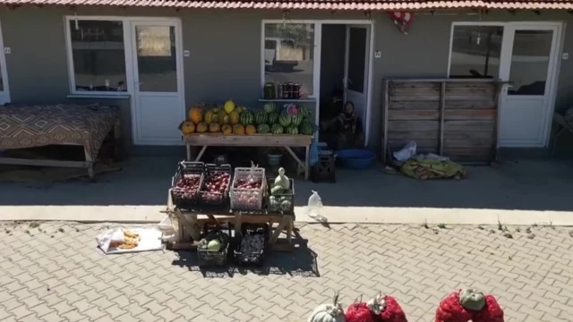 Sabriye Ayvaz: Kadın Eli Değdiğinde Her Şey Güzel Olur — Fotoğraf 2