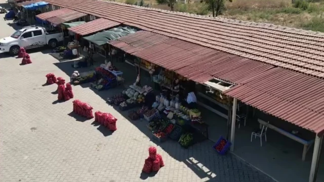 Sabriye Ayvaz: Kadın Eli Değdiğinde Her Şey Güzel Olur — Fotoğraf 3