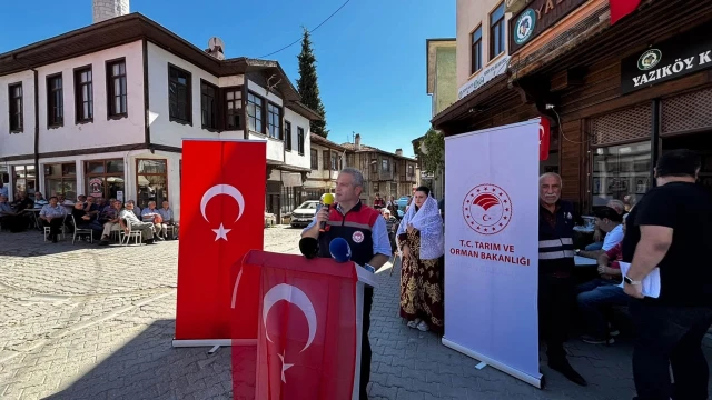 Safranbolu’nun üzüm kültürü Yazıköy’de ele alındı — Fotoğraf 3
