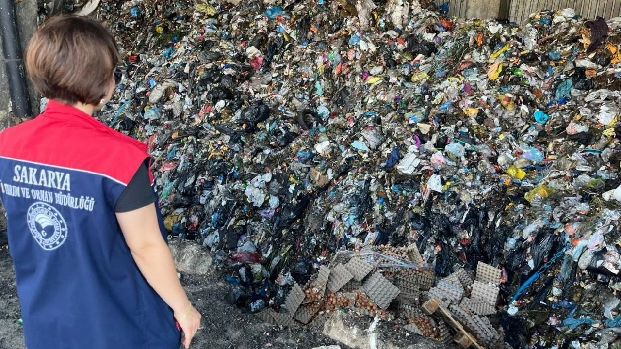 Sakarya’da hatalı kodlanan 59 bin 70 yumurta imha edildi
