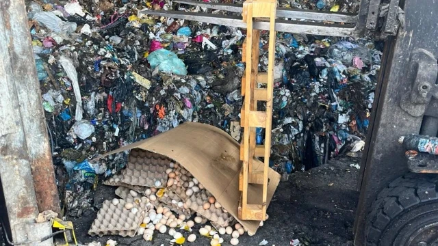 Sakarya’da hatalı kodlanan 59 bin 70 yumurta imha edildi — Fotoğraf 1
