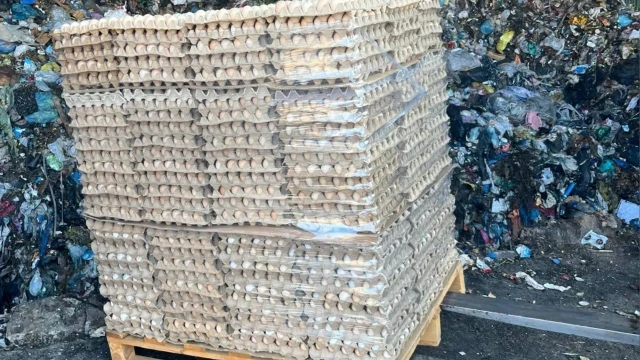 Sakarya’da hatalı kodlanan 59 bin 70 yumurta imha edildi — Fotoğraf 2