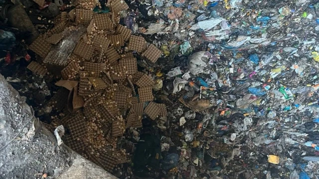 Sakarya’da hatalı kodlanan 59 bin 70 yumurta imha edildi — Fotoğraf 4