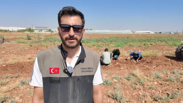 Salih Elğaç: Safranı Şanlıurfa Topraklarına Döndüreceğiz — Fotoğraf 7