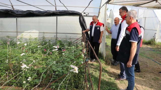 Samsun’da Kesme Çiçek Üretimi 7 Milyon Adedi Aştı — Fotoğraf 4