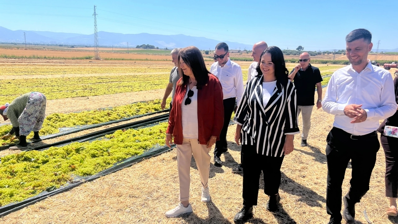 Şenol Sunat: Kuru üzüm alım fiyatı en az 150 TL olmalı
