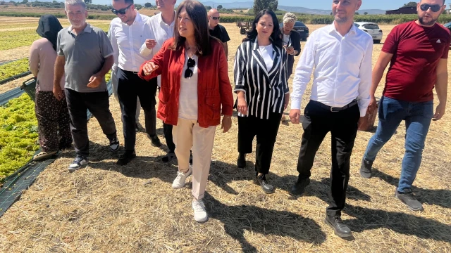 Şenol Sunat: Kuru üzüm alım fiyatı en az 150 TL olmalı — Fotoğraf 1